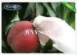 heat fruit cover mesh manufacturer for home furnishings Rayson Non Woven Fabric 3