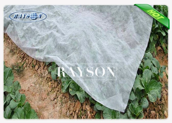 Light Weight Breathable Spunbond Frost Protection Fleece with UV Stabilized for Crop Cover 2