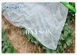 frost guard for plants tree for winter fleece Rayson Non Woven Fabric 3