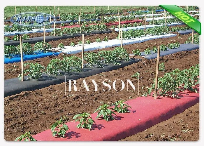 high quality fleece plant wholesale for plants covers 4