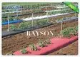 laying garden fleece rolls 10m for weed control Rayson Non Woven Fabric 5