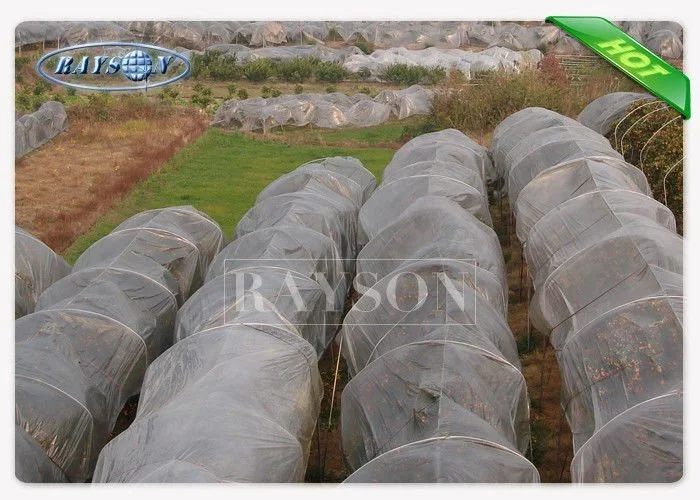 34 gsm UV 3% White Color Polypropylene Frost Protection Fleece Used For Agricultural Crop Cover 1