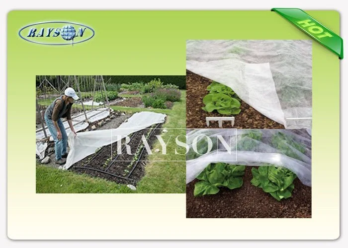 Waterproof Agriculture Spunbond Frost Protection Fleece with Oekotex Certificate 1