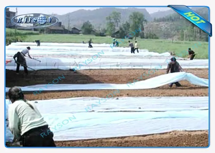 Breathable Spunbond Anit Frost Protection Fleece Frost Cover Nonwoven Fabric 5
