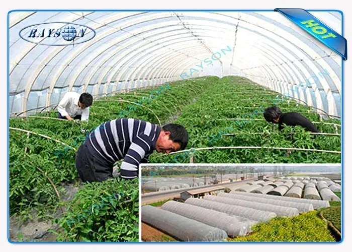 Breathable Spunbond Anit Frost Protection Fleece Frost Cover Nonwoven Fabric 3