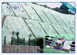 Breathable Spunbond Anit Frost Protection Fleece Frost Cover Nonwoven Fabric 4