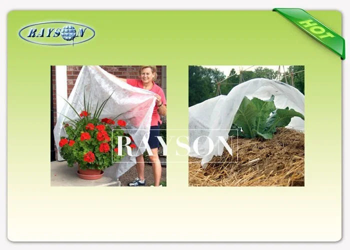 Agriculture Winter Frost Protection Fabric Spunbond Air Prmeable Non Woven / Spunbonded Technics 1