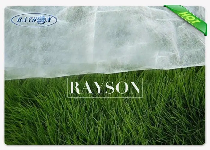 Light Weight Breathable Spunbond Frost Protection Fleece with UV Stabilized for Crop Cover 3