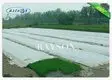 28gsm Non Woven Frost Protection Fleece with UV - Resistance for Farm 2