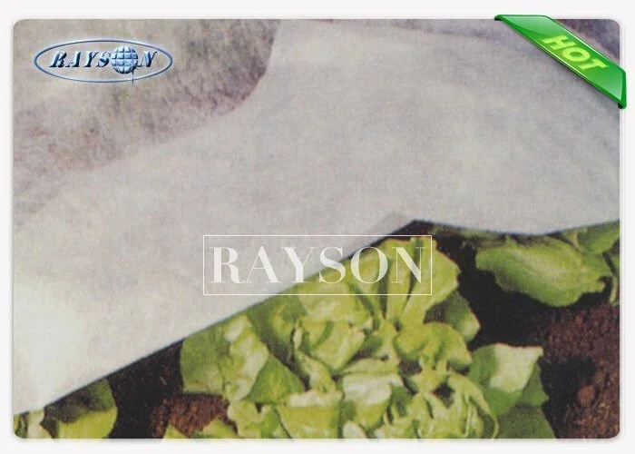 22GSM Frost Protection Cover For Garden Flower , Agricultural Fleece 1
