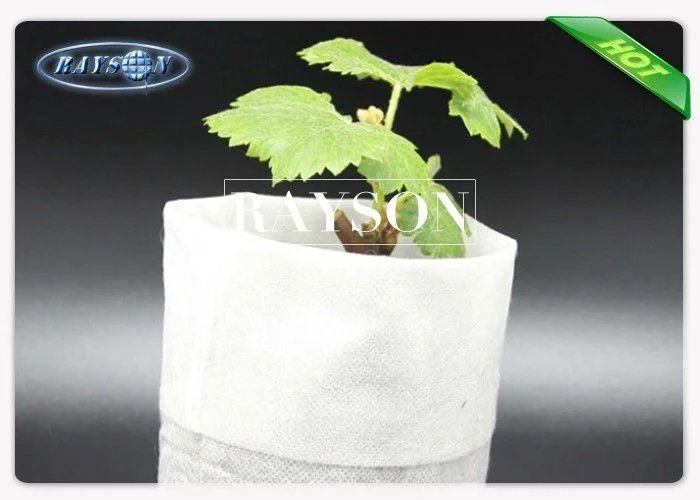 50GSM Size 14 cm x16 cm White Color Plant Non Woven Cultivating Bag Popular For Europe Market 1