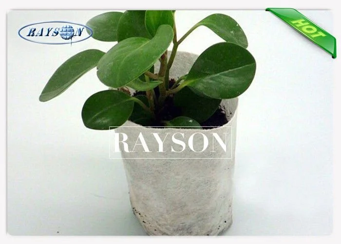 Reusable 50gsm Breathable Non Woven Cultivating Bag For Vegetable Root Protection 1