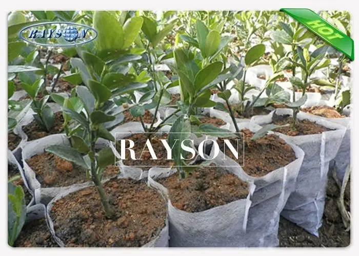 100% PP Non Woven Cultivating Bag For Banana / Breathable Protection Bag 2