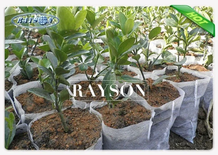 Size 12 cm x14 cm White Color Plant Non Woven Cultivating Bag For Garden 1