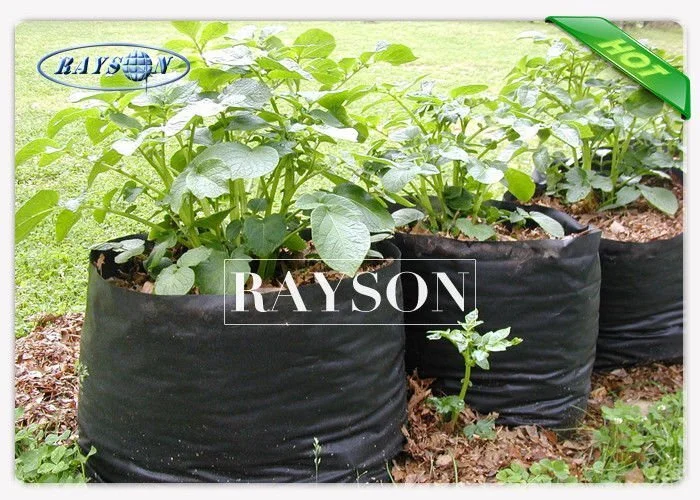 PP Non Woven Skirting Bags / Non Woven Horticulture Covers For Seed Cultivation 1
