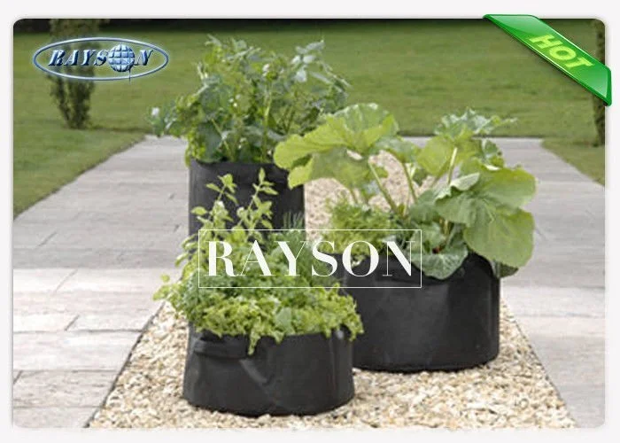 Heat Seal Black Non Woven Cultivating  Bag In PPNW For Grow Seedlings Planting Bags 1