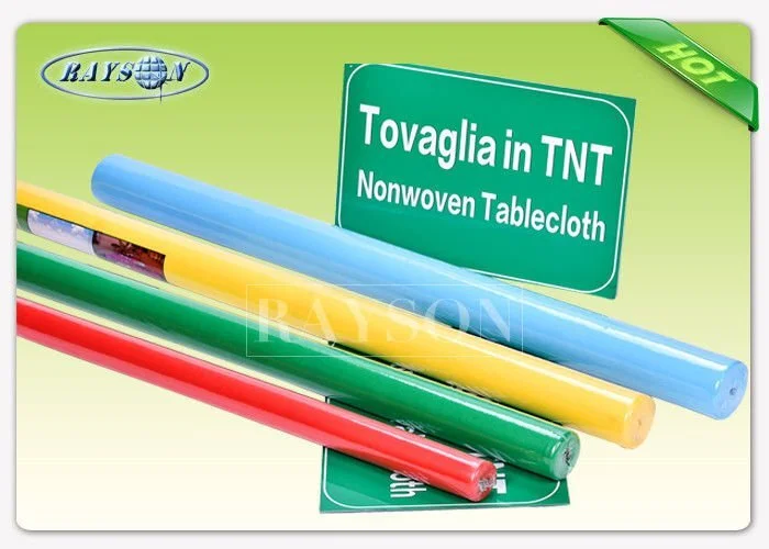 Rayson Non Woven Fabric film supplier for outerdoor 5
