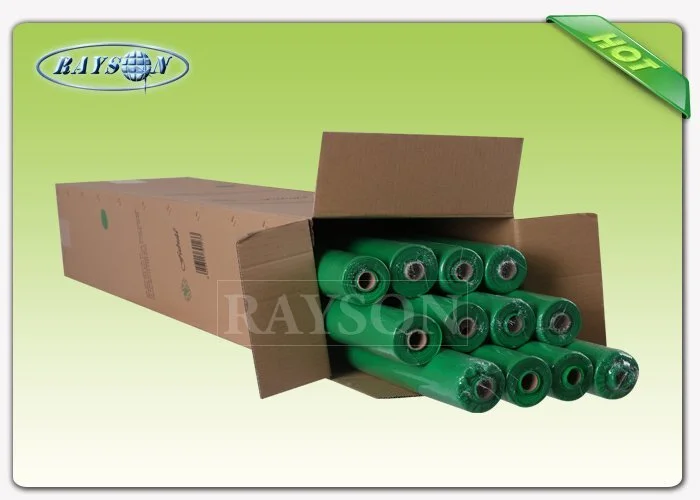 Rayson Non Woven Fabric customized series for outerdoor 2