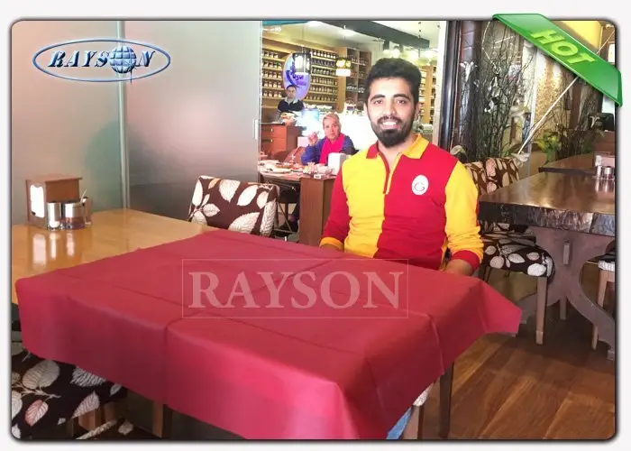 Rayson Non Woven Fabric high quality wholesale for home 2