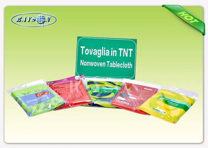 Rayson Non Woven Fabric high quality manufacturer for picnic 3