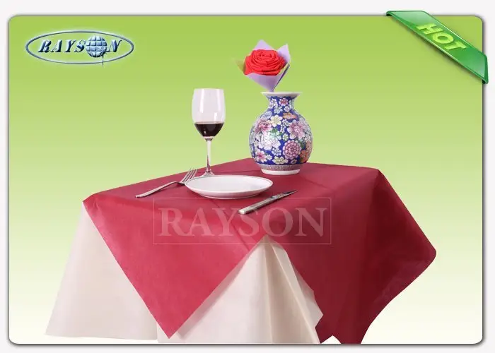 machine wholesale for outerdoor Rayson Non Woven Fabric 2