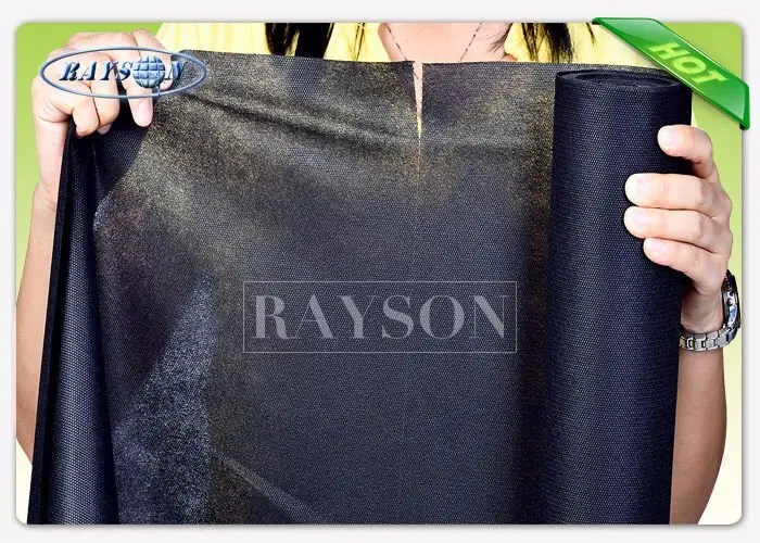Rayson Non Woven Fabric party supplier for picnic 3