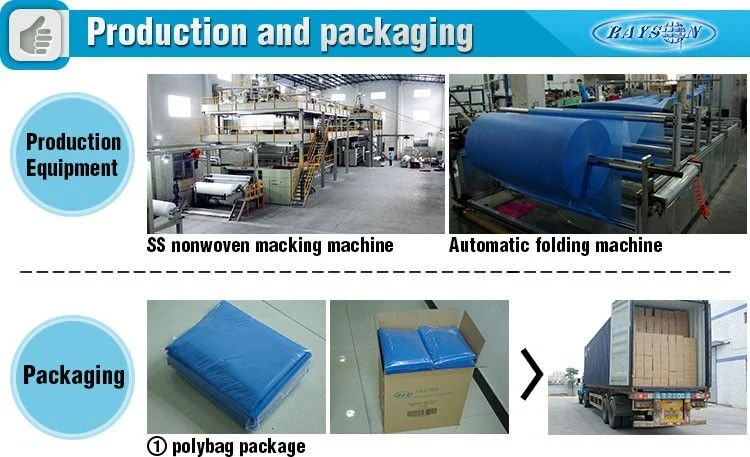 Rayson Non Woven Fabric fitted absorbent sheets for bed Supply for beauty salon use 4