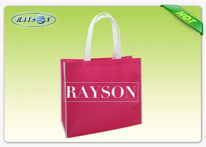120GSM OPP Laminated 	PP Non Woven Bags In Mesh belt Handle 1