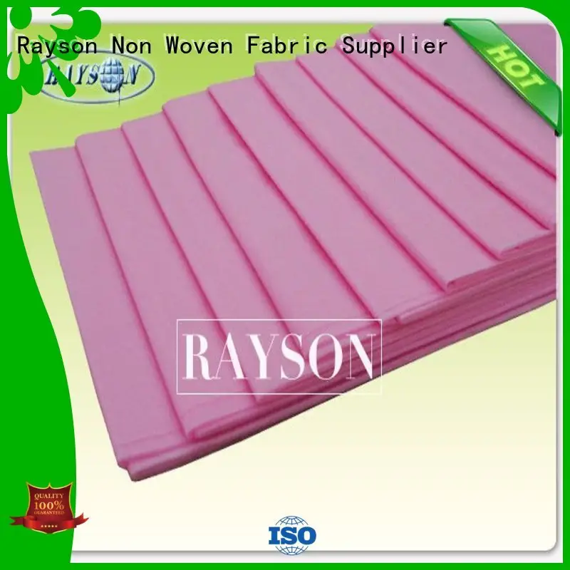 Rayson Non Woven Fabric Brand waterproof garden economical disposable bed sheets online 34g 1