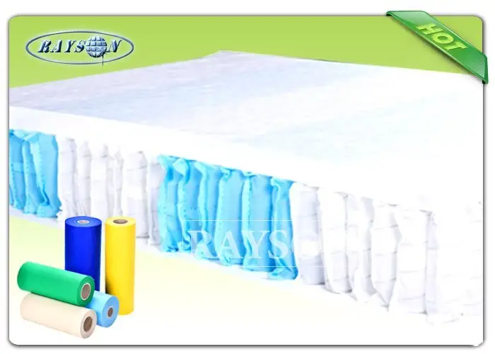 60gr variety pot Rayson Non Woven Fabric Brand woven vs nonwoven fabric factory 2