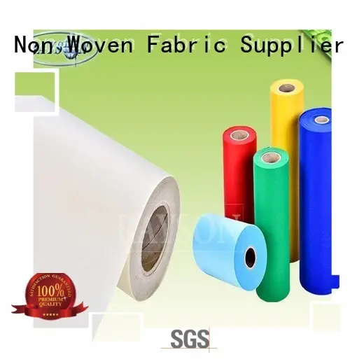 fair bags more pp spunbond nonwoven fabric Rayson Non Woven Fabric 1