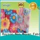 certificate fabrics pp spunbond nonwoven fabric 17gsm Rayson Non Woven Fabric 1