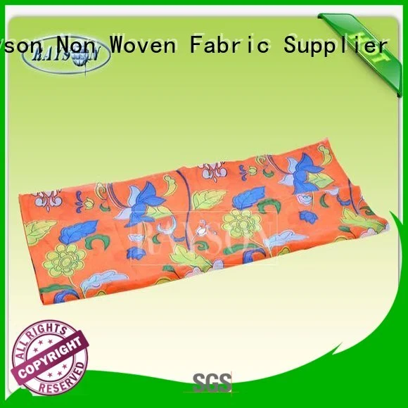Rayson Non Woven Fabric Brand horticulture coated spunbond non woven fabric manufacturer 1