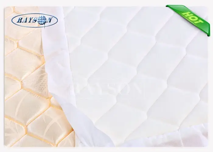 top italian OEM pp spunbond nonwoven fabric Rayson Non Woven Fabric 3