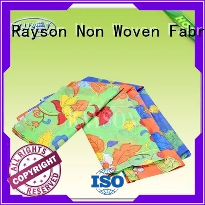 bottom woven vs nonwoven fabric 17gram Rayson Non Woven Fabric company 1