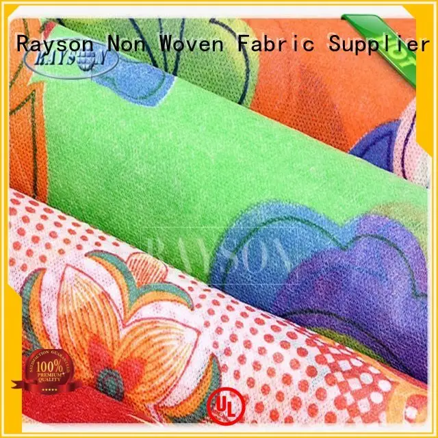 Custom no various spunbond nonwoven Rayson Non Woven Fabric tote 1