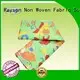 Rayson Non Woven Fabric Brand 75gsm free custom woven print 1
