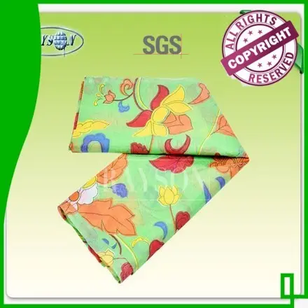 Quality Rayson Non Woven Fabric Brand 210 show spunbond nonwoven 1