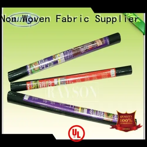 ground control fabric sgs for root control bags Rayson Non Woven Fabric 1