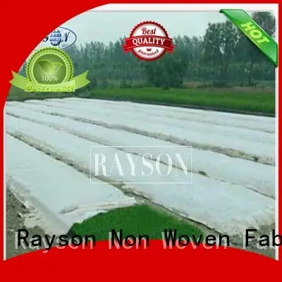 Rayson Non Woven Fabric online lanscaping fabric supplier for ground cover 1