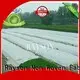 Rayson Non Woven Fabric online lanscaping fabric supplier for ground cover 1