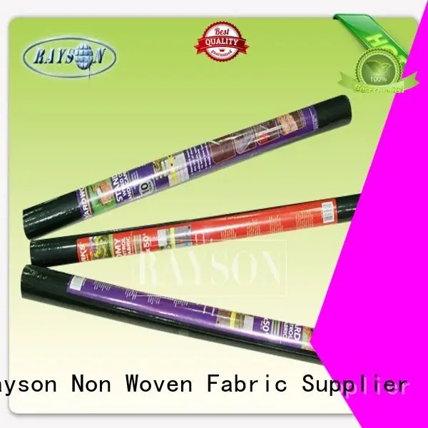Rayson Non Woven Fabric customized landscape blanket resistant for root control bags 1