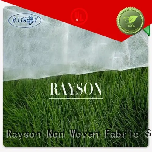 online garden fabric to prevent weeds supplier for seed blankets Rayson Non Woven Fabric 1