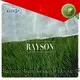 online garden fabric to prevent weeds supplier for seed blankets Rayson Non Woven Fabric 1