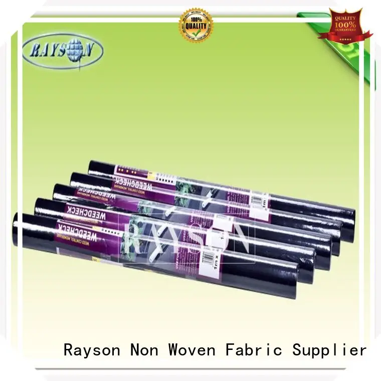 beds black membrane for gardens manufacturer for root control bags Rayson Non Woven Fabric 1