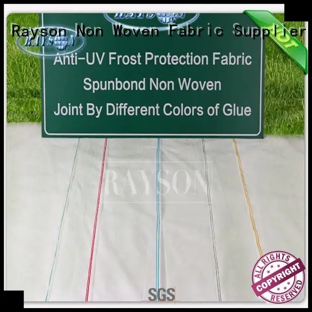 Rayson Non Woven Fabric customized garden weed membrane supplier for ground cover 1