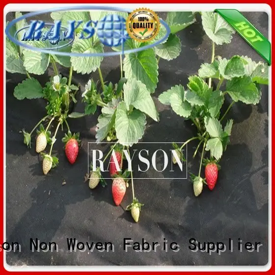 anti uv flower bed landscape fabric wholesale for root control bags Rayson Non Woven Fabric 1