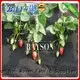 anti uv flower bed landscape fabric wholesale for root control bags Rayson Non Woven Fabric 1