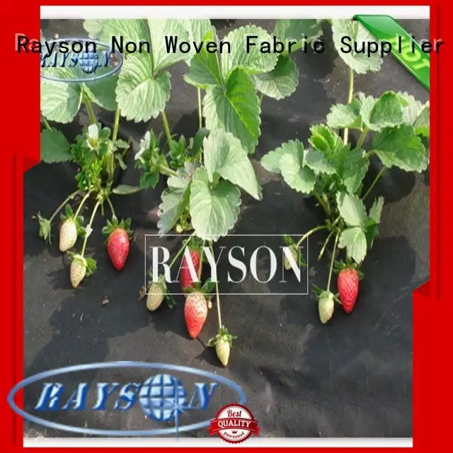 customized landscape fabric mulch manufacturer for seed blankets 1