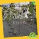 anti uv black garden cloth supplier for root control bags 1